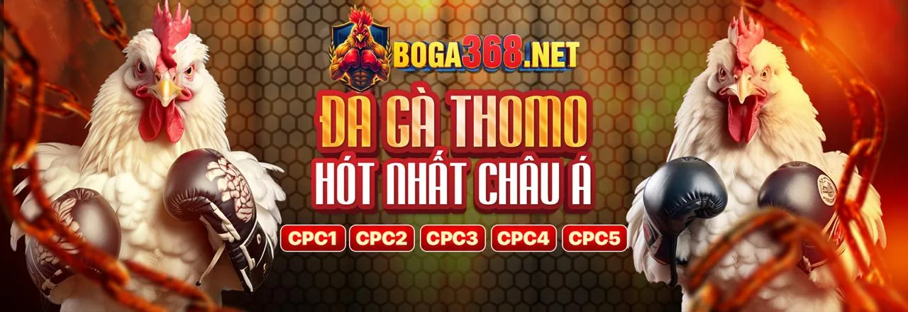 Chất lượng livestream đá gà